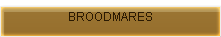 BROODMARES
